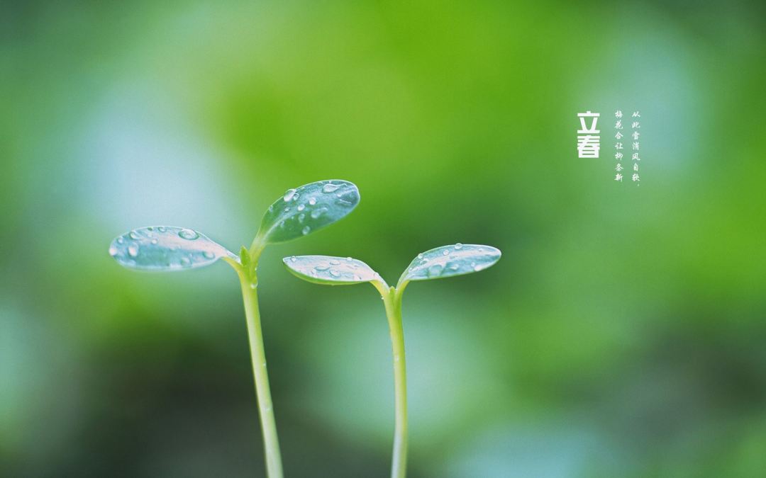 立春人去逝有什么意义_人日立春_立春人们会做什么事情