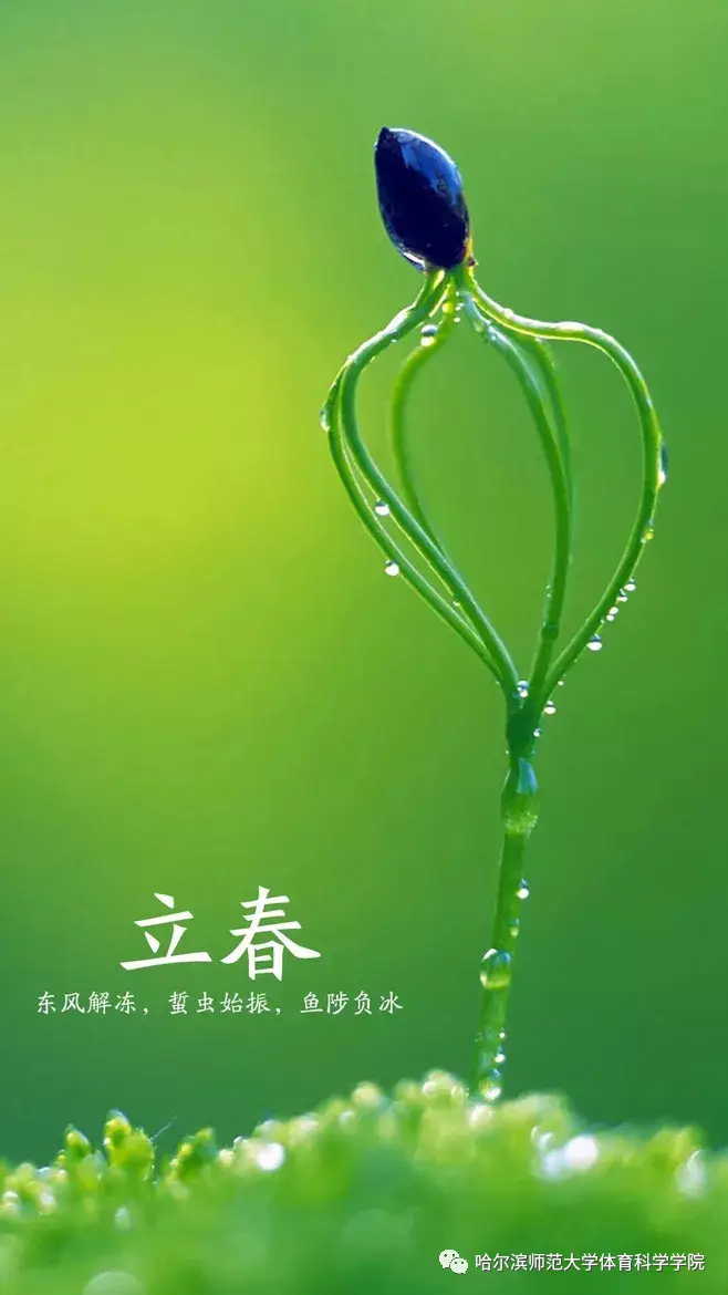 人日立春_立春人去逝有什么意义_立春人们会做什么事情
