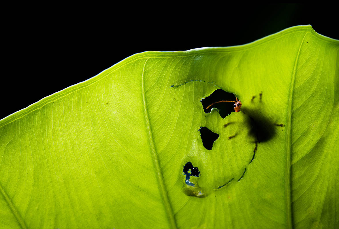 警备员_警备员_警备员