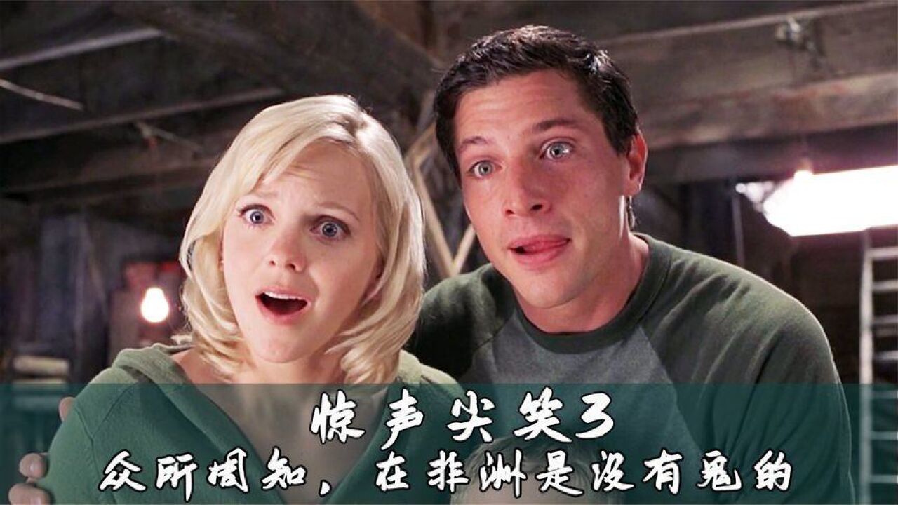 惊声尖笑5在线观看完整版免费观看_尖声惊笑4下载_尖声惊笑5下载