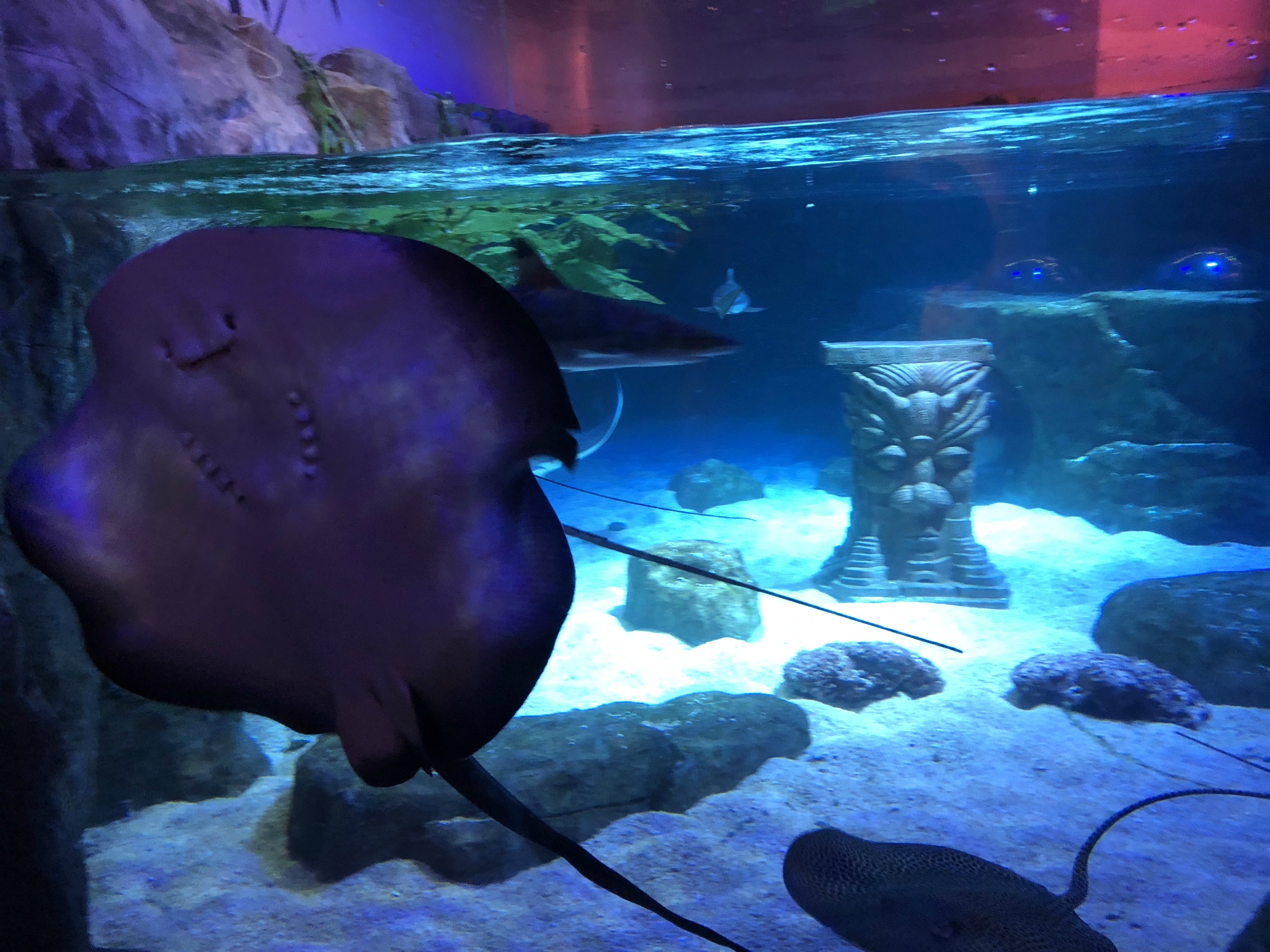 海洋手游_儿童海洋手机游戏_小孩玩的海洋