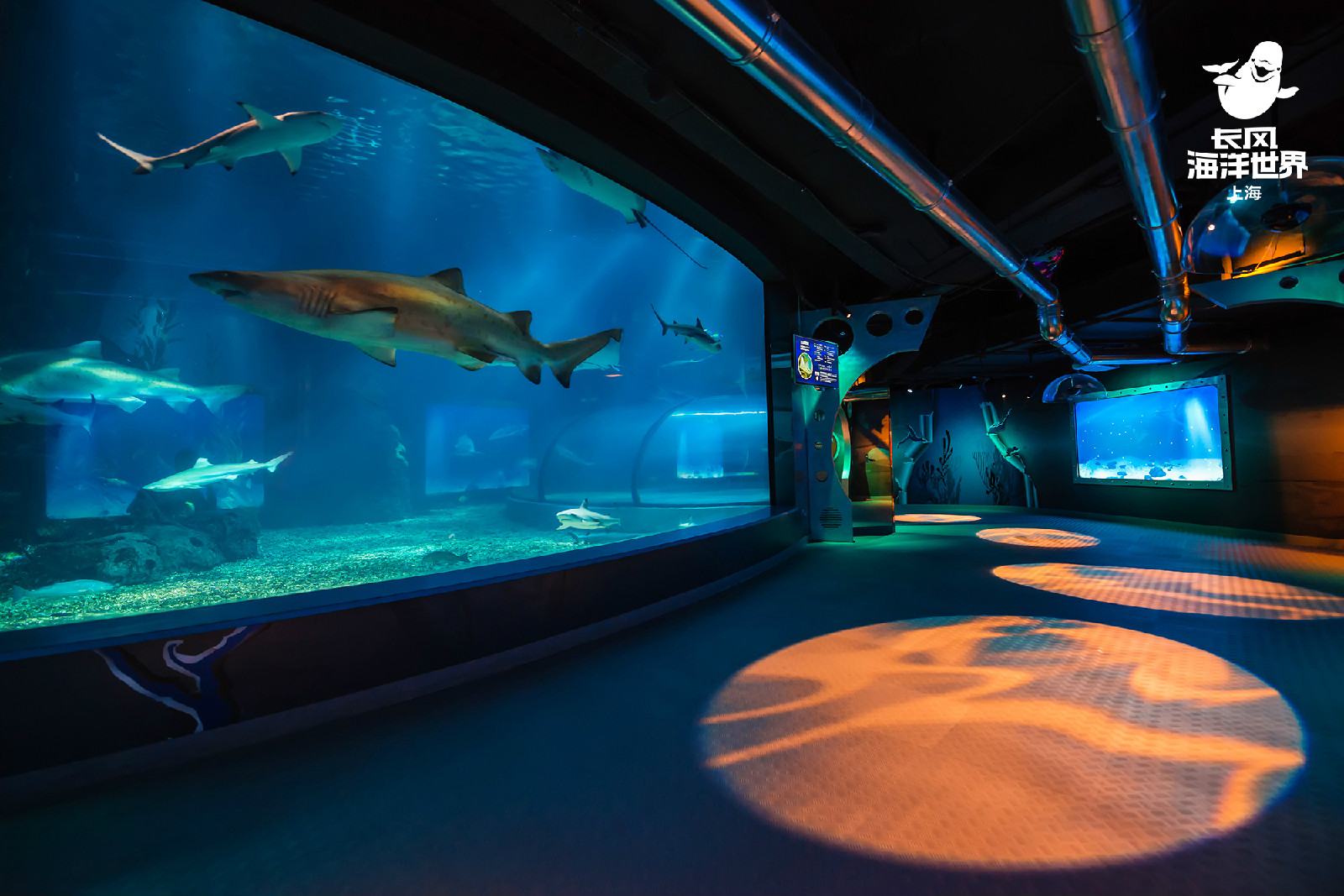 儿童海洋手机游戏_小孩玩的海洋_海洋手游