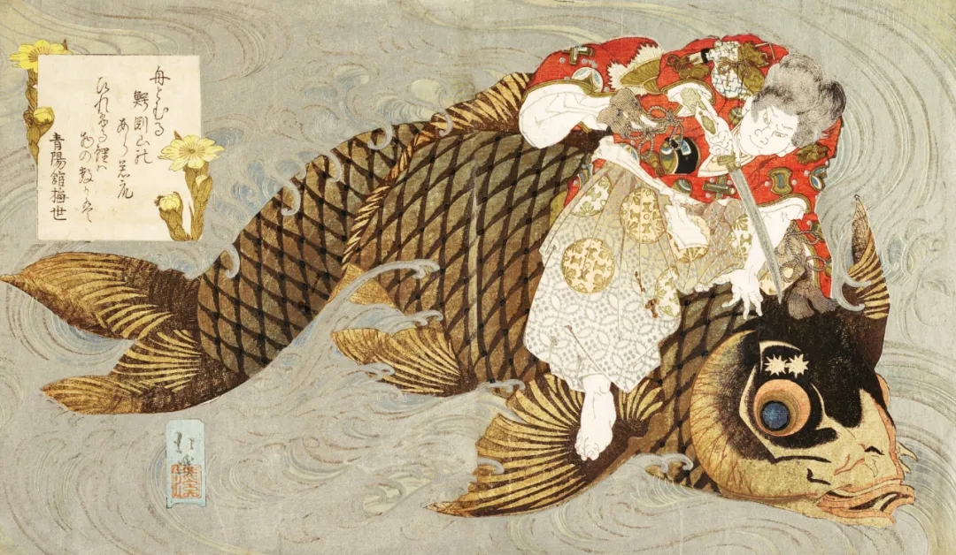 贞德兽_贞德兽_贞德兽