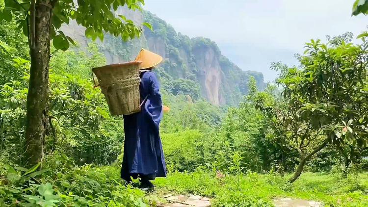 斜线反斜线_斜线反方向入库_反斜线