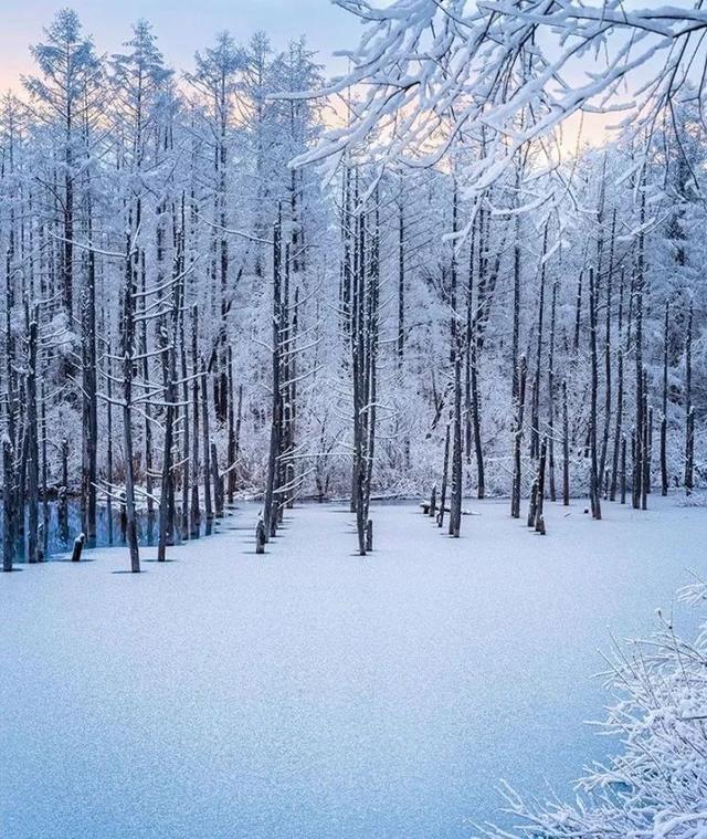 北海道岛_北海道的岛_北海道北边的岛