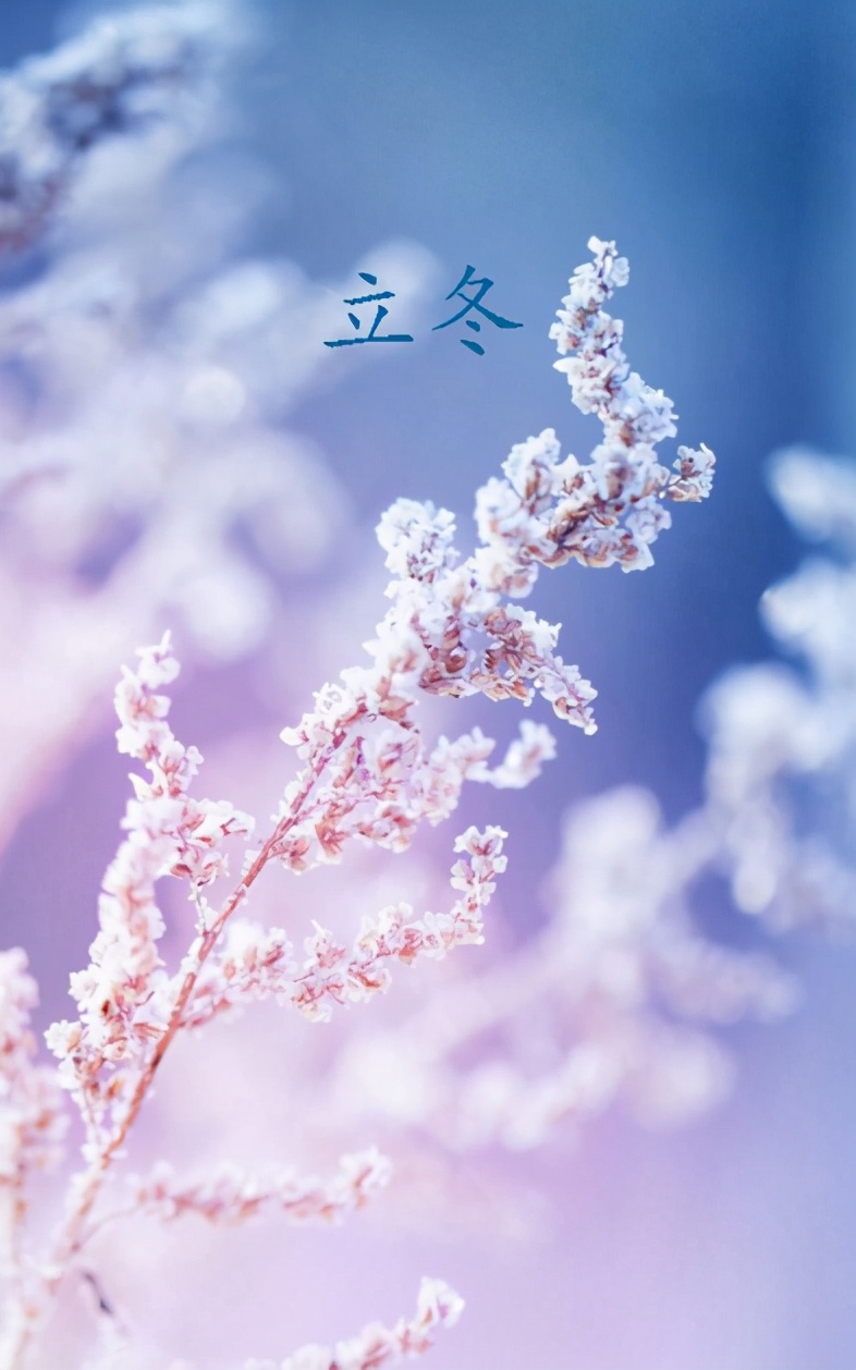 二十四节_节哀的安慰词语_节哀是什么意思