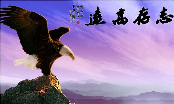十大虚拟货币钱包_虚拟币钱包作用_虚拟币钱包原理