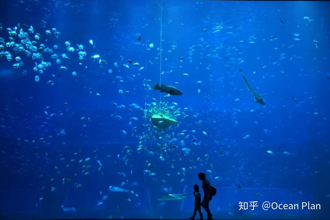 海斗_海彤与战胤小说全文免费阅读_海贼王