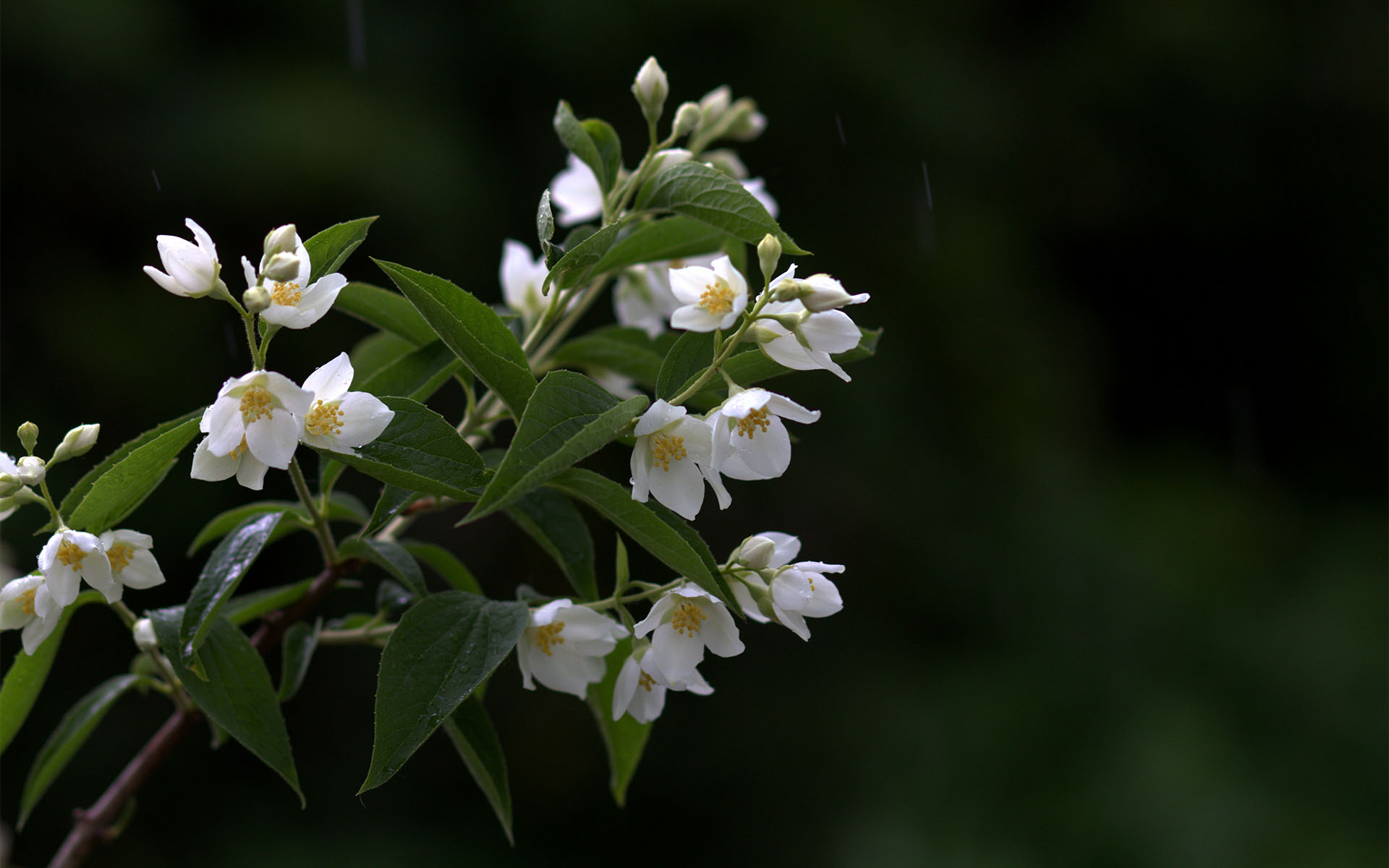 桌面色彩怎么调_辨色游戏手机桌面_桌面颜色怎么调(色彩)手机