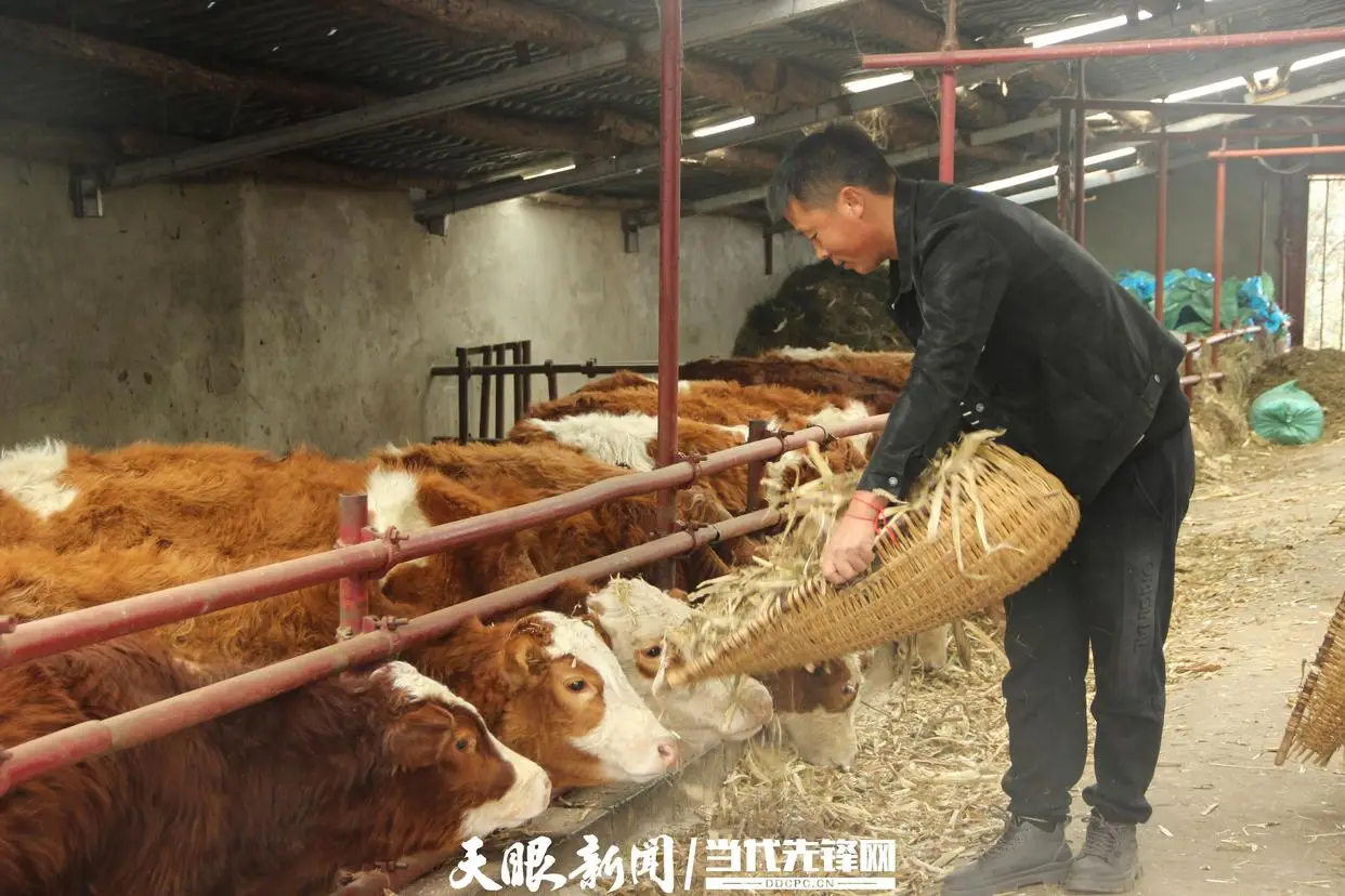 js去重_去精神科做抑郁检查要花多少钱_去精神科检查要多少钱