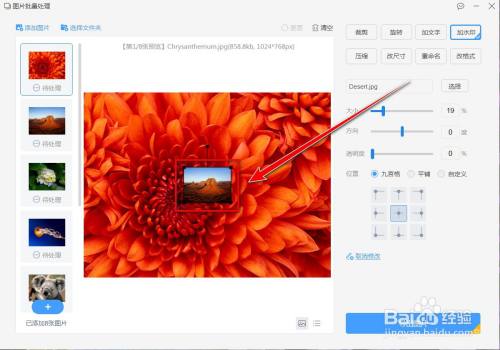 wps批量修改照片尺寸_wps批量修改图片尺寸大小_wps批量修改图片尺寸
