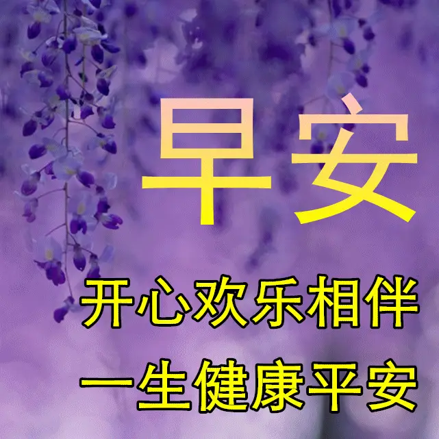 季菜_季光虹_季光虹