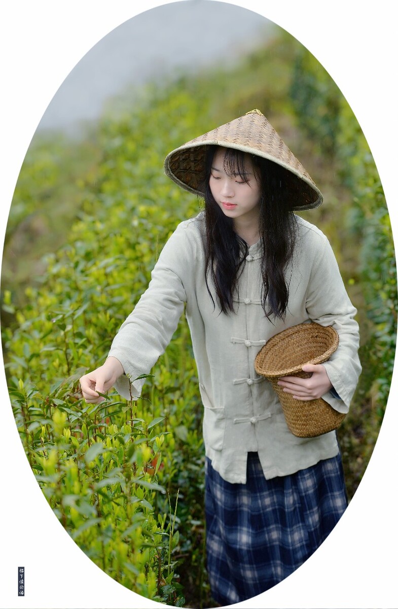 高性价游戏手机_8月高颜值手机游戏_颜值高玩游戏好的手机