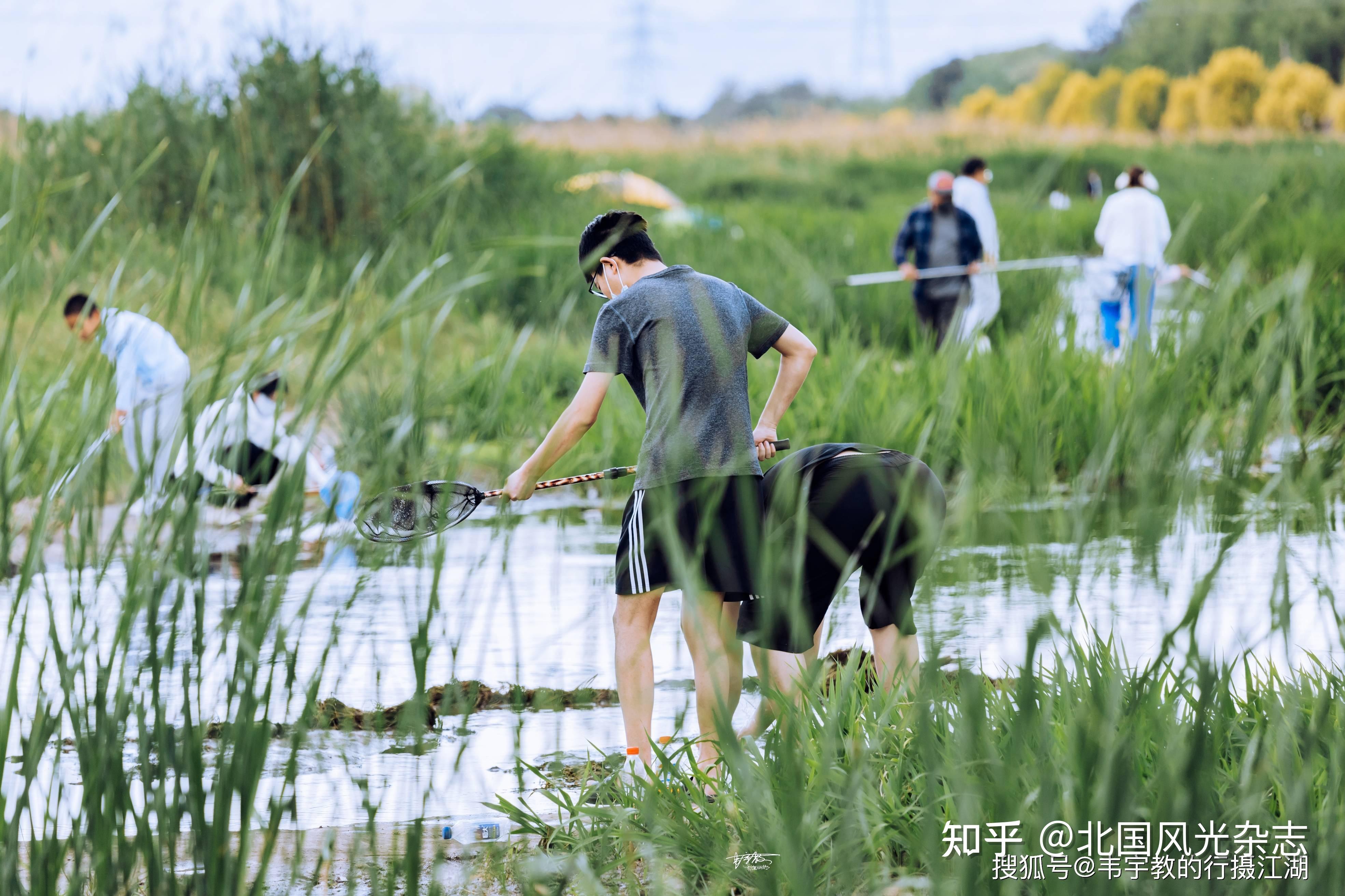 LAMENTO游戏手机桌面_手机桌面都是游戏_手机桌面游戏图标