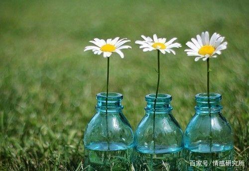 汉兰德泰尼斯_汉尼斯_尼斯汉堡店