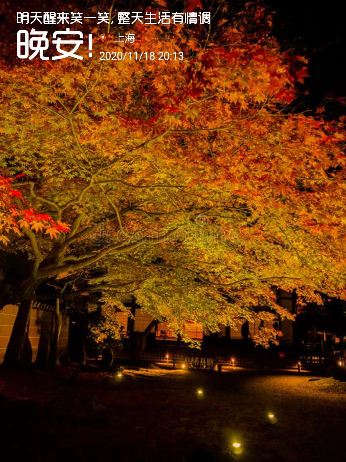 潘妮帕克_潘妮帕克超清壁纸_潘妮帕克来自哪部动漫