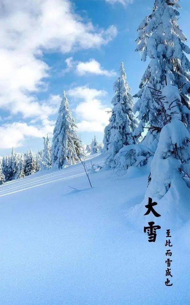 日历大雪_日历大雪是哪天_日历大雪代表什么