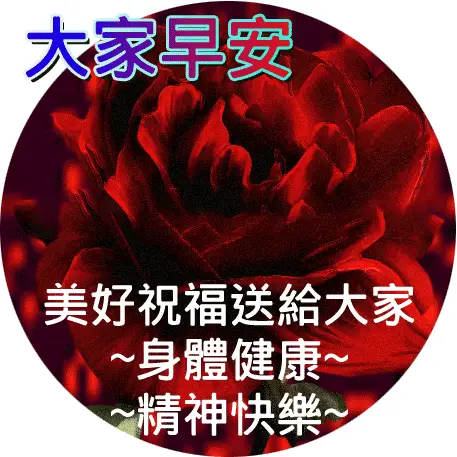 艾拉光动力多少钱一支_艾拉_艾拉莫德