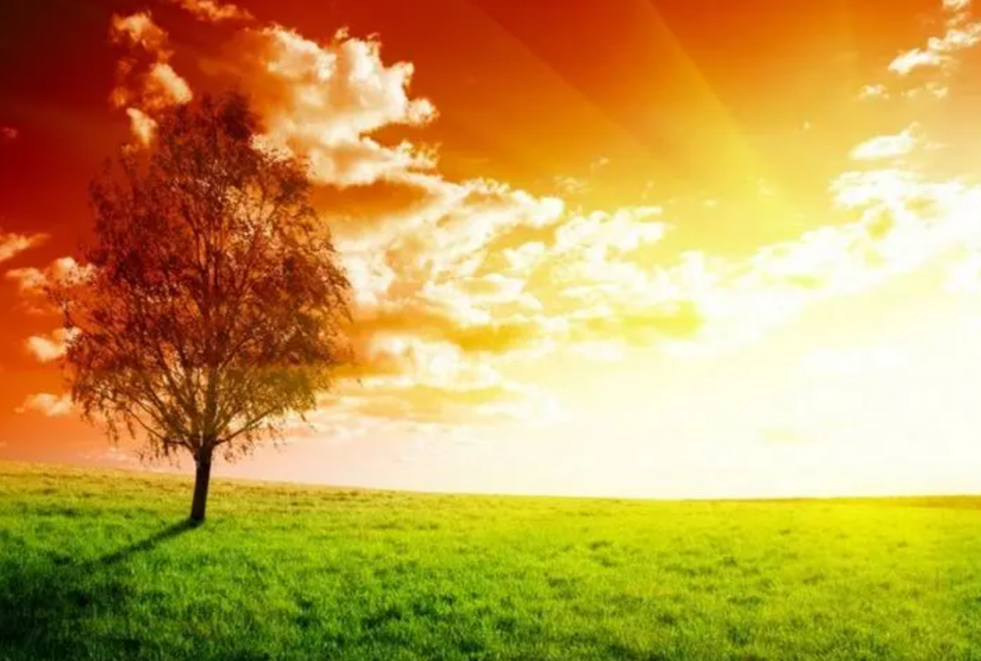 露西_露娜用孙悟空的金箍棒奖励自己_普露