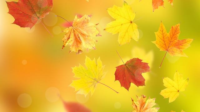 普露_露西_露娜用孙悟空的金箍棒奖励自己