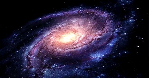 主题世界_主题世界漫画_主题世界漫画极乐鸟