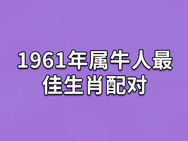 属鼠今年多大_今年属鼠多大岁数_今年属鼠多少岁