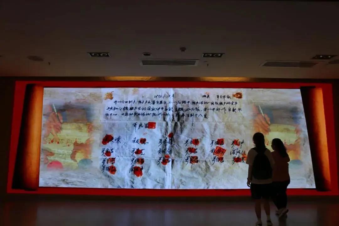那年兔的故事_那年那兔那些事儿_那年兔那些事儿全集