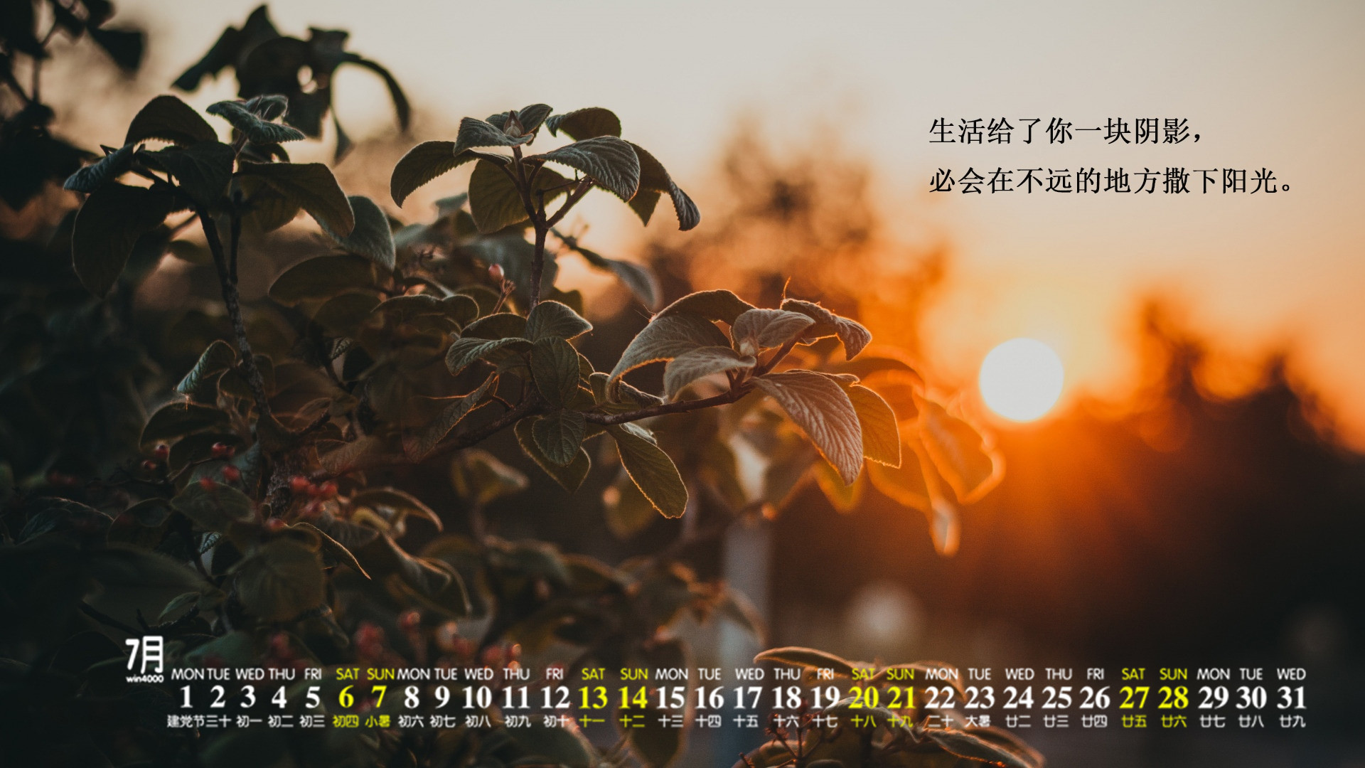 2019日历_日历2019年日历表全年_日历2019年日历表图片高清