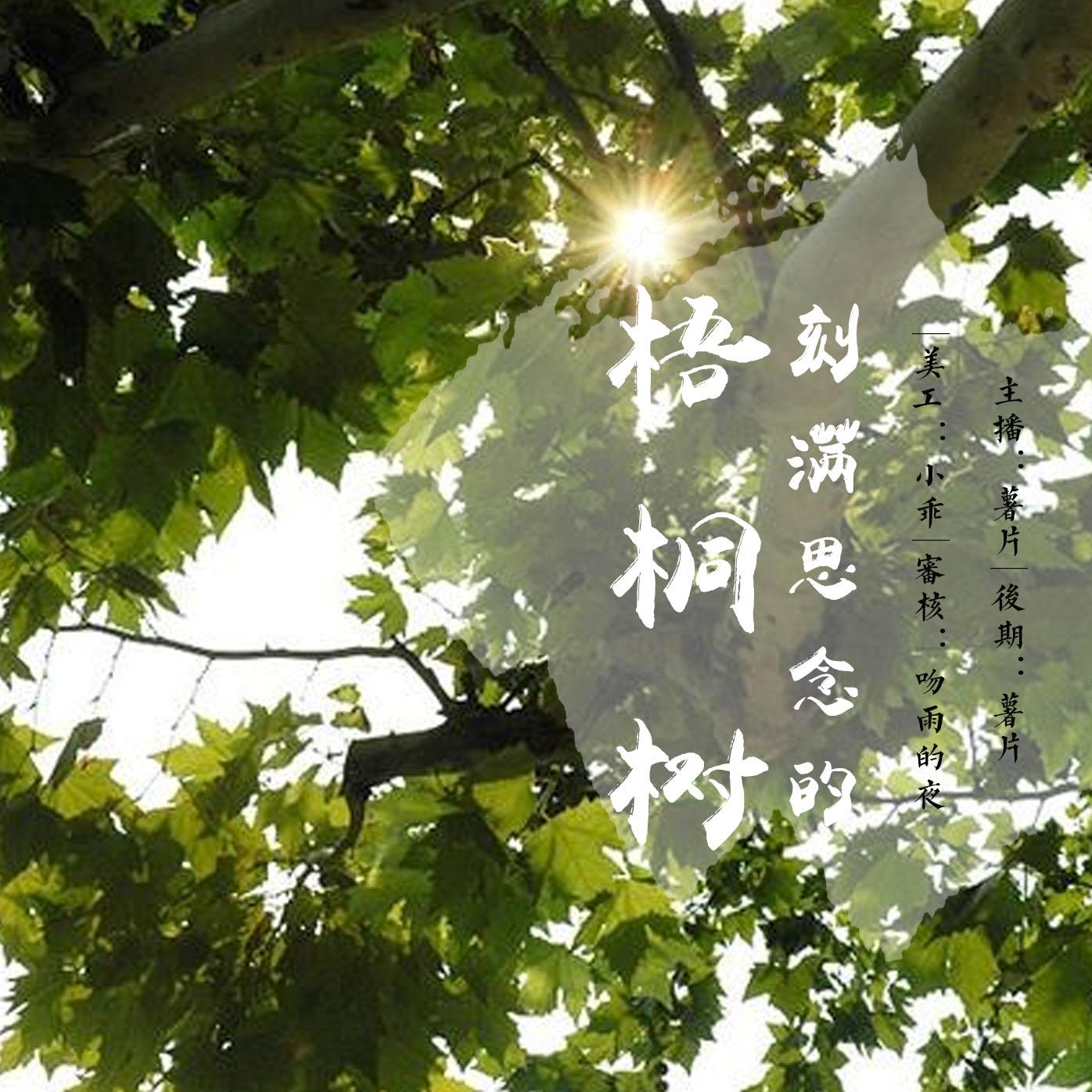 七海八千代_七海八千代结局_七海八千代的愿望是什么