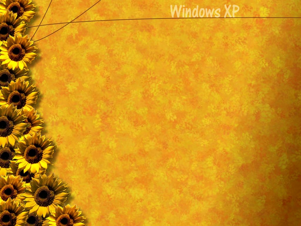WINDOWSXP下载游戏手机_windowsxp主题下载_windowsxp能玩的游戏