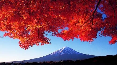 猎头者_猎头者_猎头者