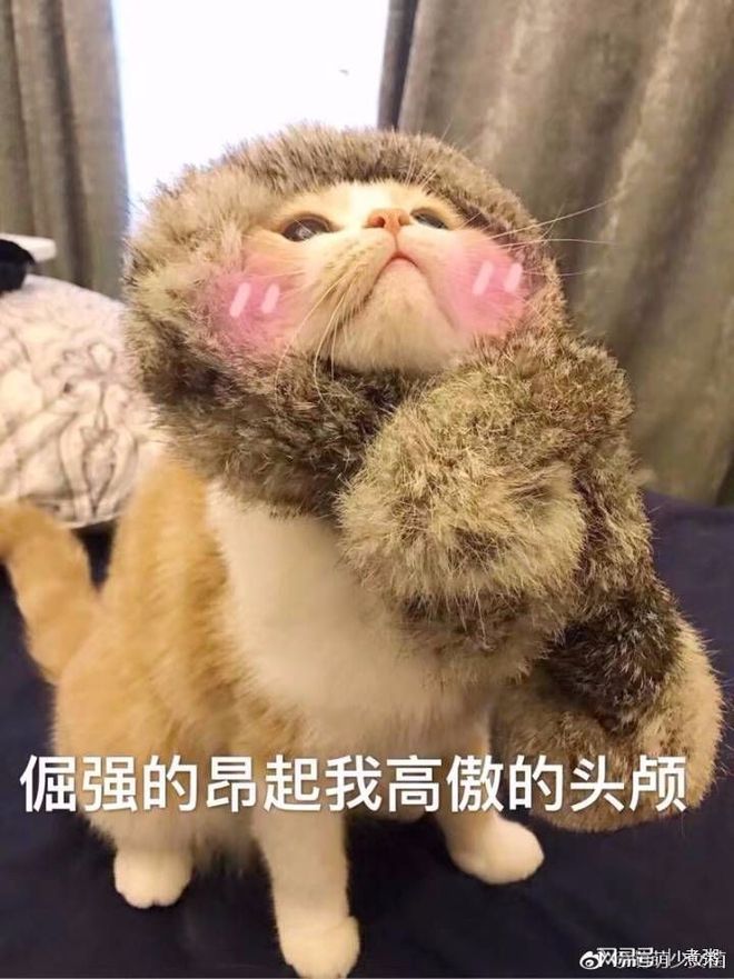鳄鱼兄弟绘本_鳄鱼兄弟央视网_鳄鱼兄弟手机游戏下载