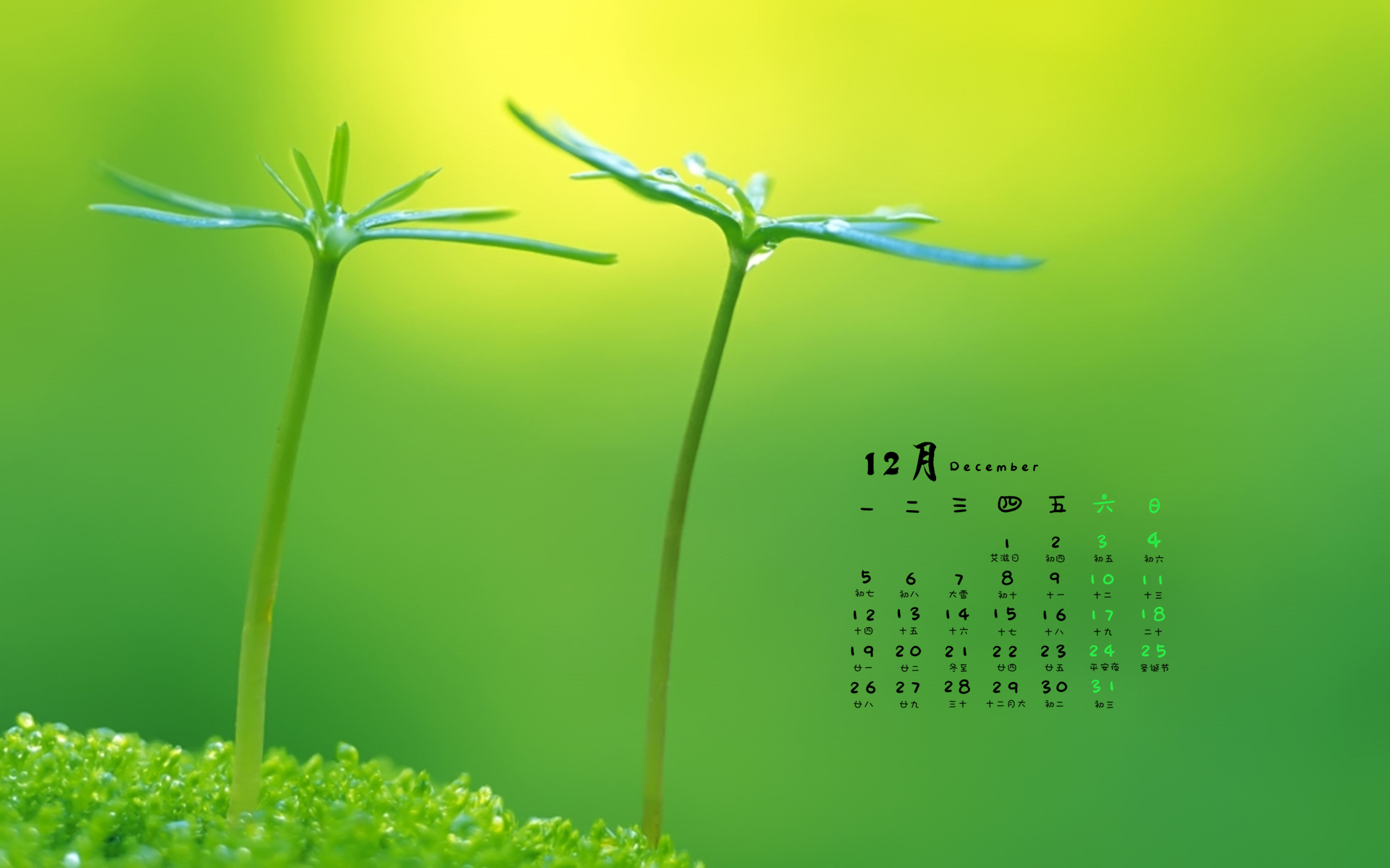 月年2023年_那年有润月年_2015年12月25日