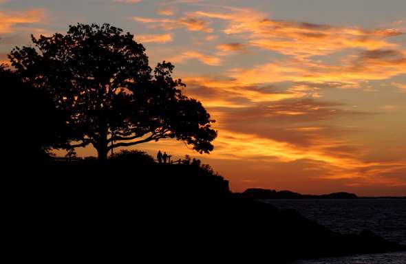 是几月几日_月是故乡明出自哪一首诗_月是故乡明电视剧免费观看