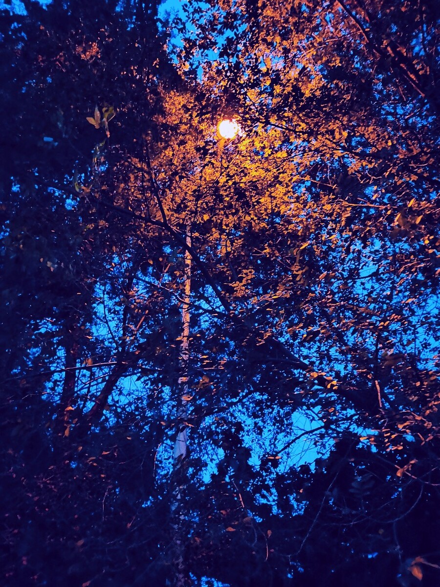 京野ななか_京野ななか_京野ななか