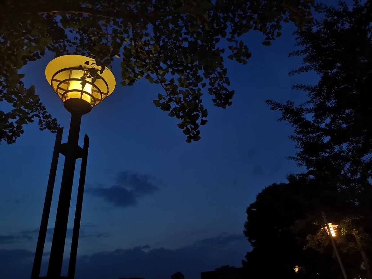 京野ななか_京野ななか_京野ななか