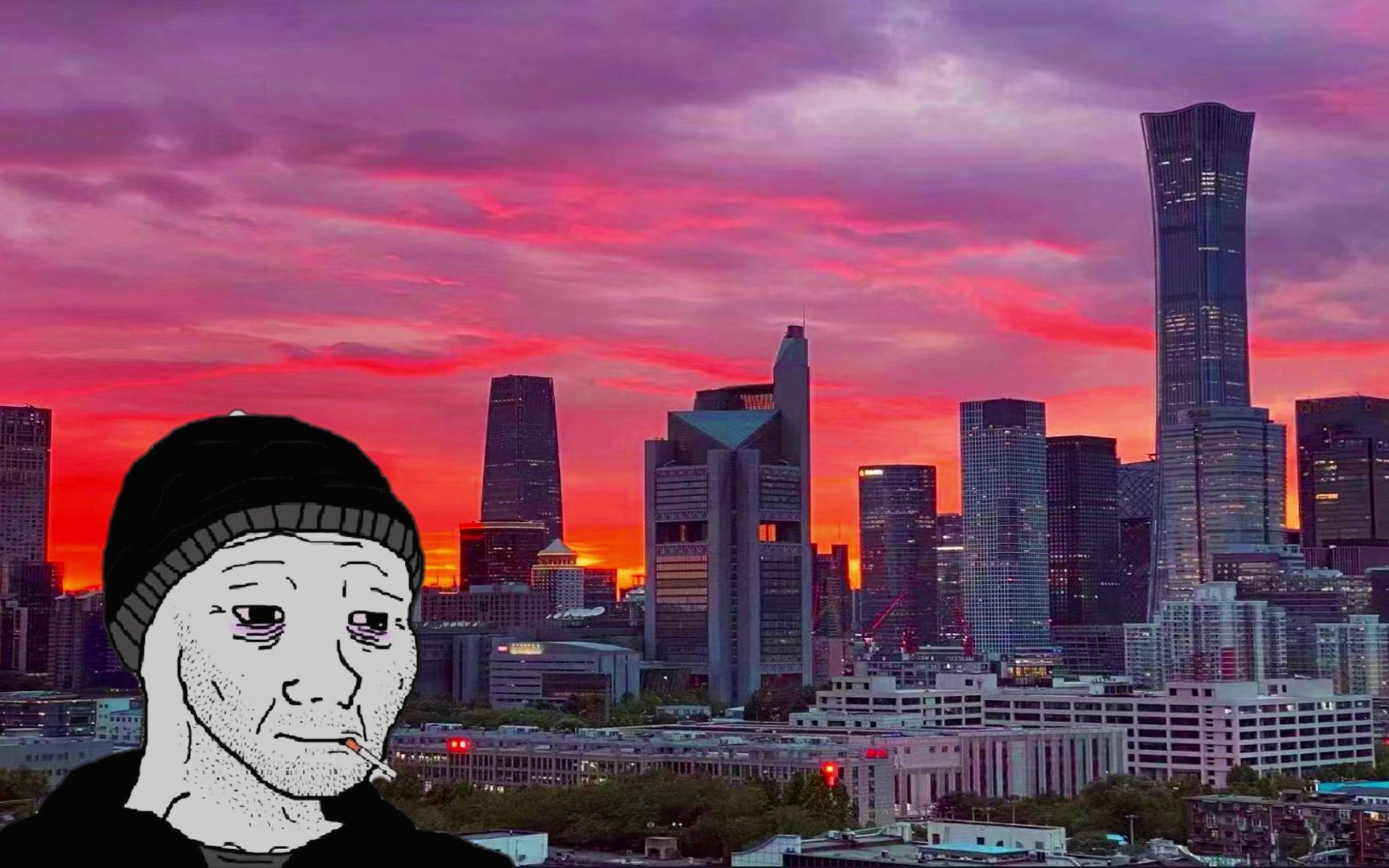 伪物语讲的什么故事_伪物语_化物语伪物语伤物语哪好看