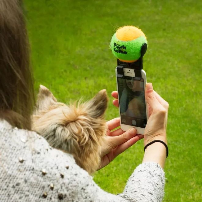 h工口安卓汉化手机游戏_h工口安卓汉化手机游戏_h工口安卓汉化手机游戏