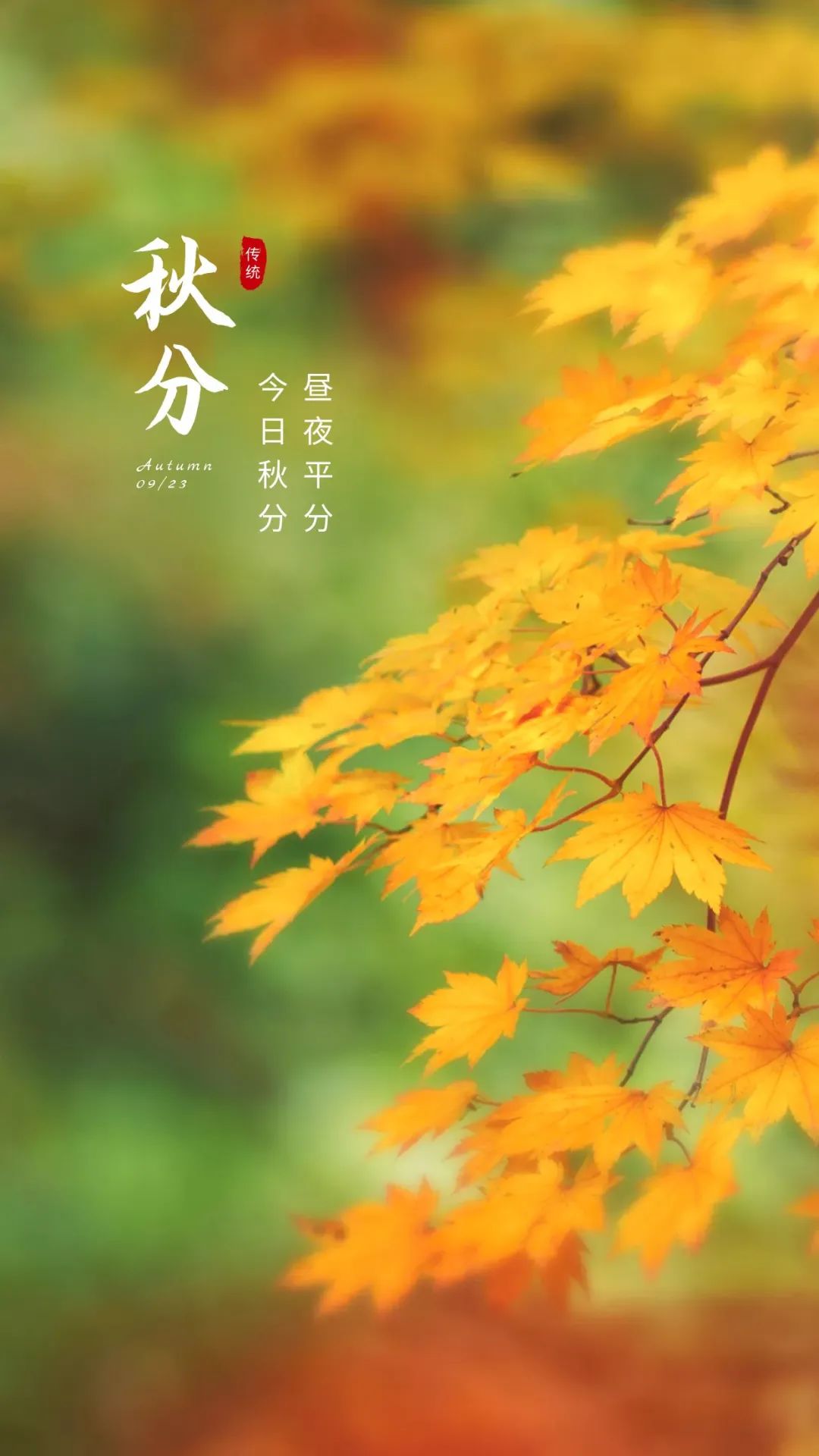 几月秋分_秋分月圆是什么意思_秋分是几月几日
