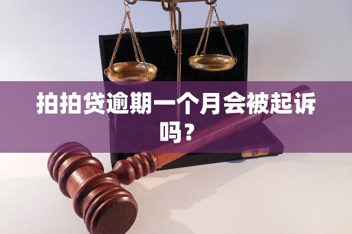 上海拍拍贷借款app下载_上海拍拍贷款怎么样_上海拍拍贷app