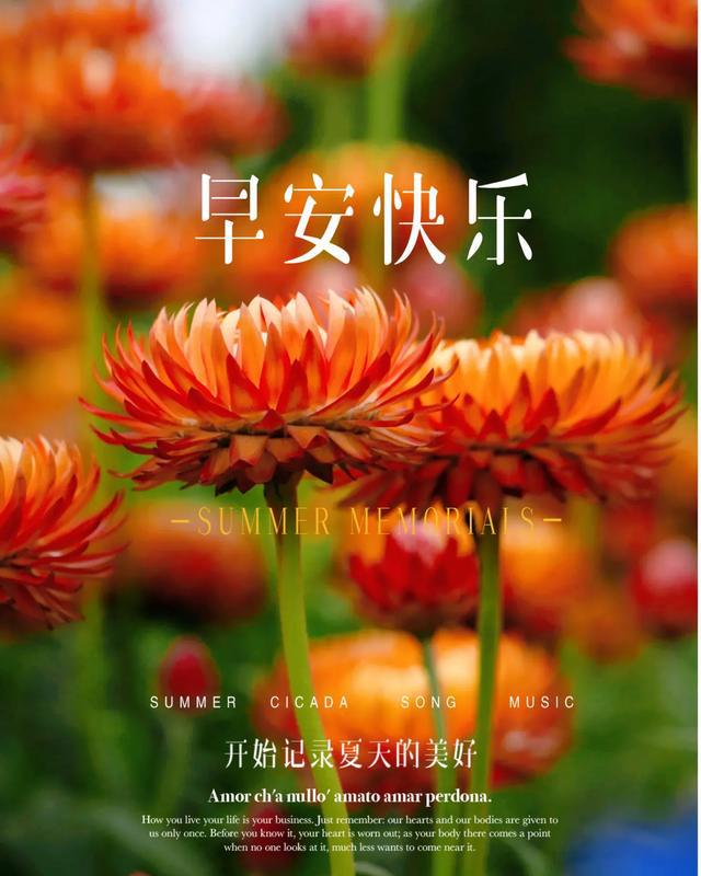 90后美女玩手机游戏_90后美女玩手机游戏视频_90后美女玩手机游戏图片