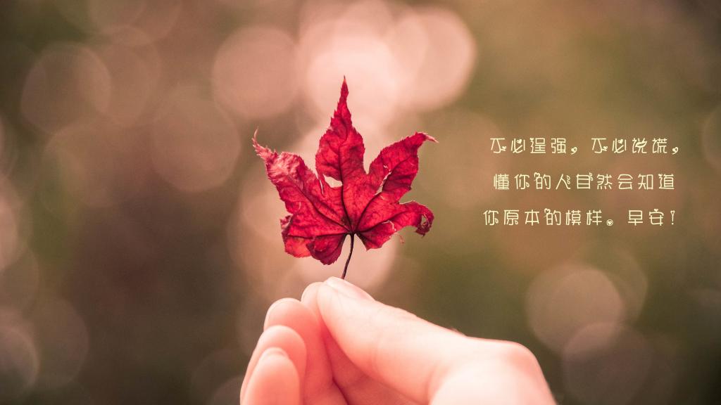 主流手机游戏里有哪些_非主流手机里的游戏_主流手机游戏里的游戏