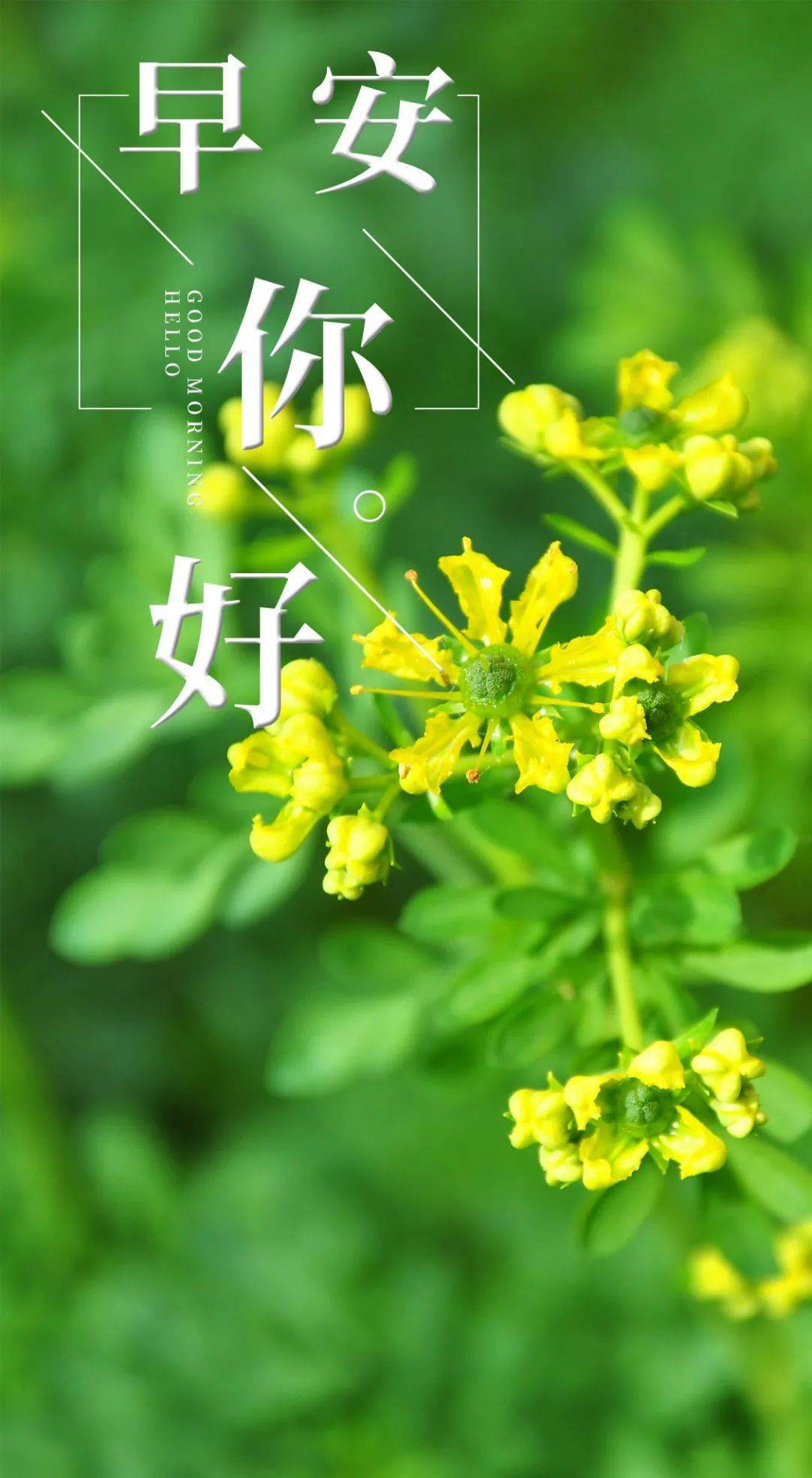 2022年12月2日_那年有润月年_外国生产日期怎么看日月年