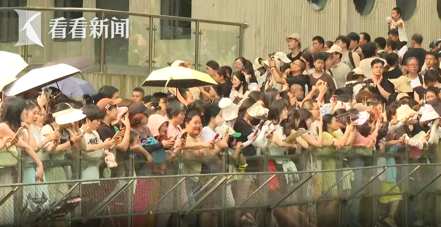 舞蹈手机游戏布洛芬怎么玩_布洛芬舞蹈手机游戏_舞蹈手机游戏布洛芬怎么打