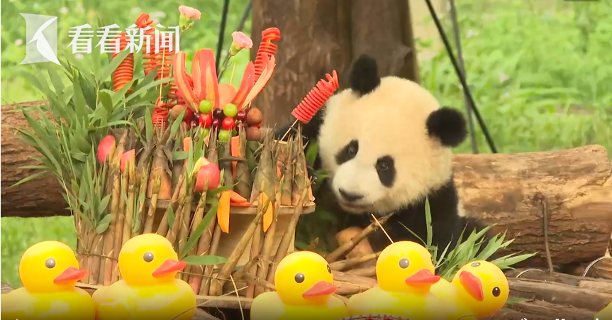 舞蹈手机游戏布洛芬怎么玩_舞蹈手机游戏布洛芬怎么打_布洛芬舞蹈手机游戏