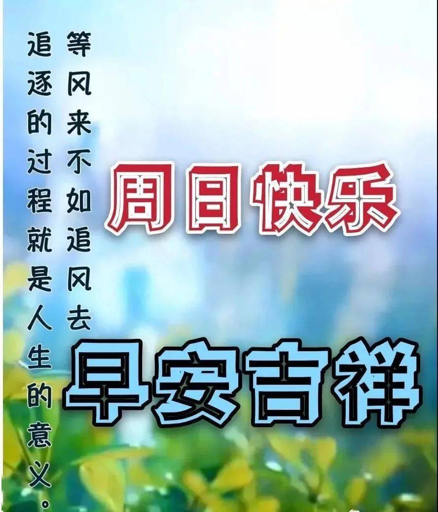 索尼娅内瓦曼生日_索尼娅内瓦曼是不是处女_索尼娅内瓦曼