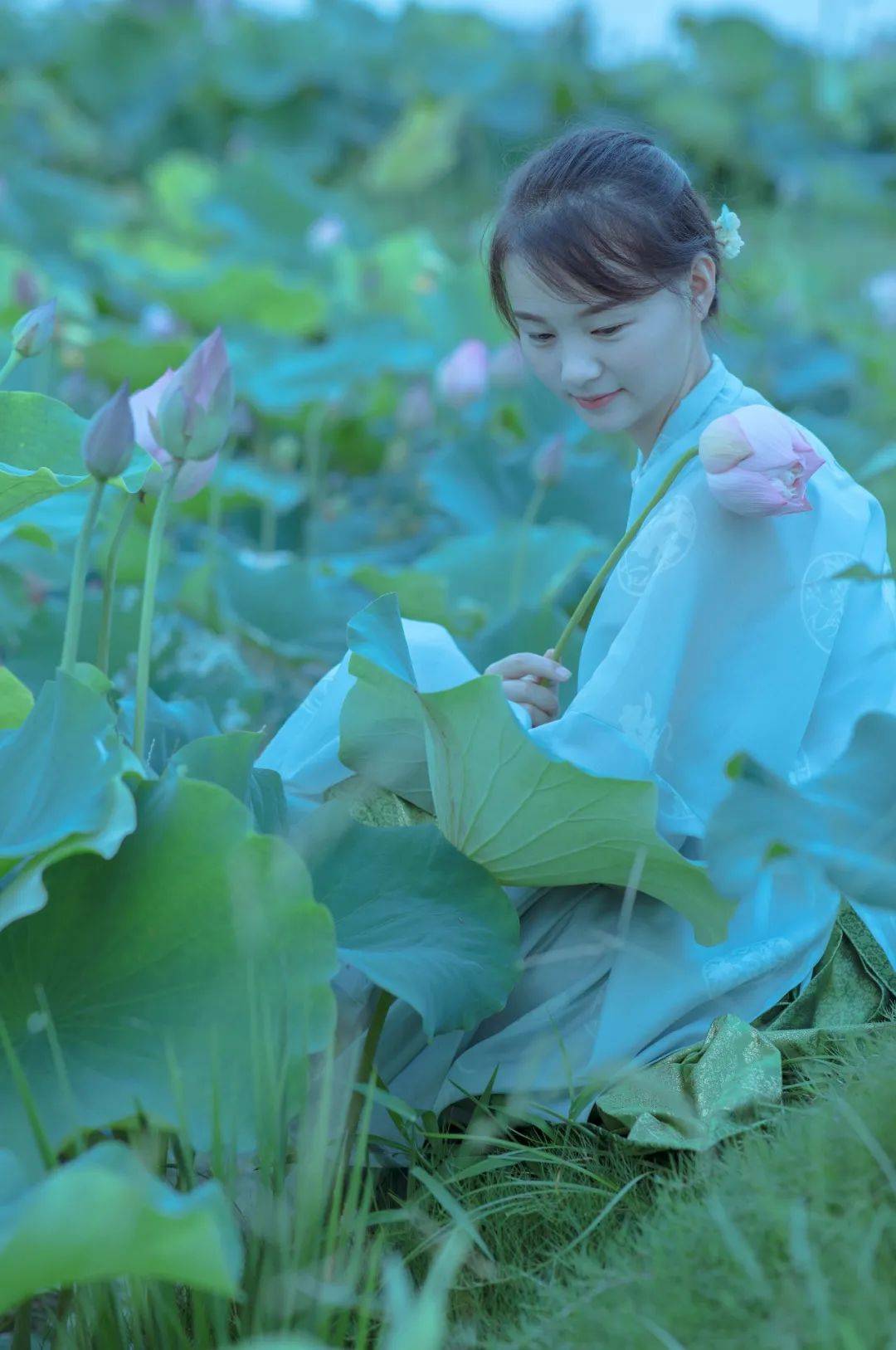 田中姬_田中姬_田中姬