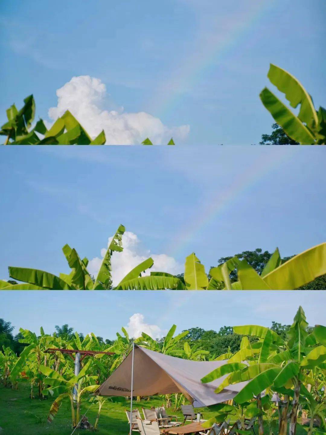 田园真理_田园真理_田园真理