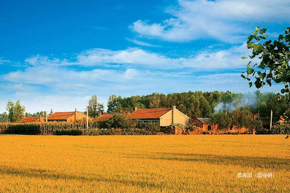 田园真理_田园真理_田园真理