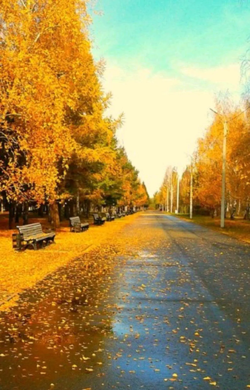 手机游戏手游_stamen手机游戏_手机游戏star攻略